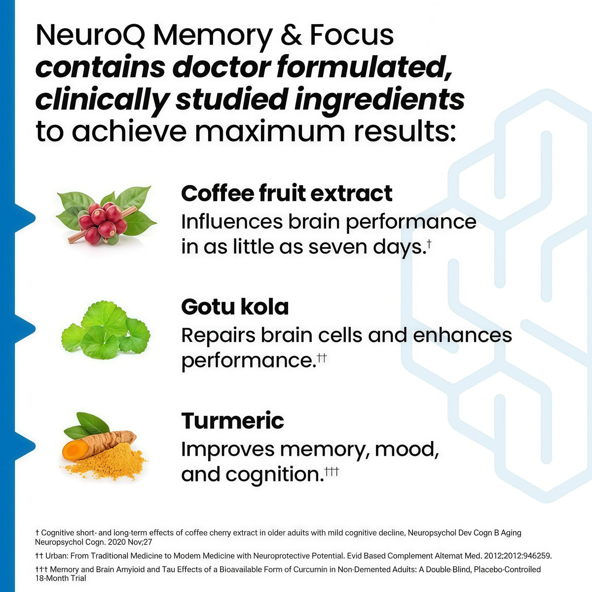 NeuroQ Memory & Focus | Formulated by Neurologist Dr. Dale Bredesen | Addresses All 4 Causes of Cognitive Decline | Ginkgo Biloba, Phosphatidylserine, Gotu Kola, Coffee Fruit, Turmeric & Propolis